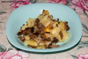 Картофель с грибами