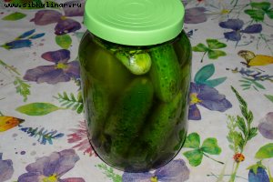 Бочковые огурцы в банке