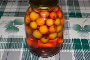 Компот из яблок (2)