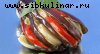 Баклажаны, запечённые с овощами (3)