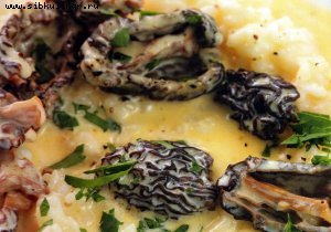 "Ризо аль Сальто" со сморчками