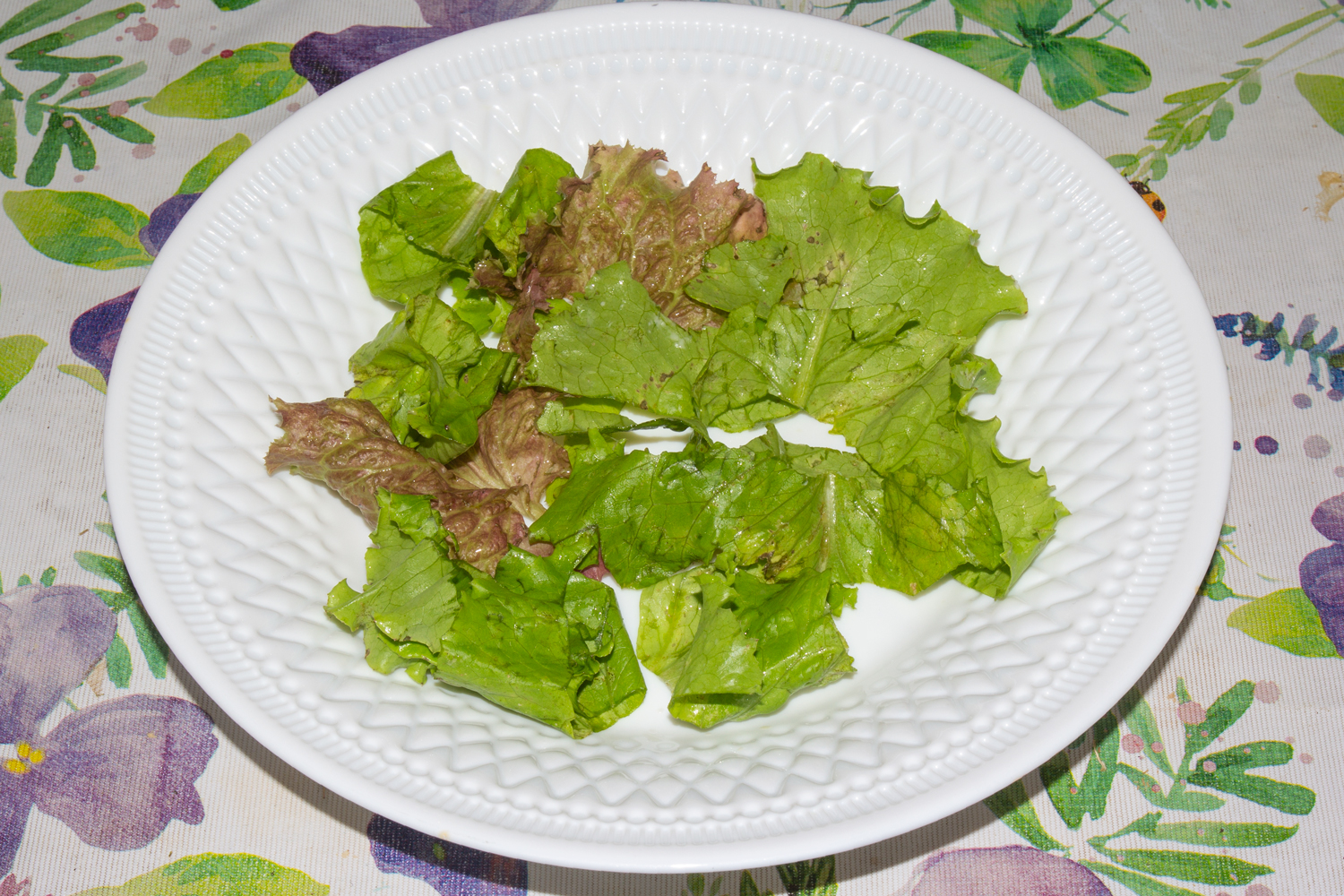 листовой салат нарвите по рецепту Салат с креветками, сыром и помидорами нарванный листовой салат по рецепту Салат с креветками, сыром и помидорами