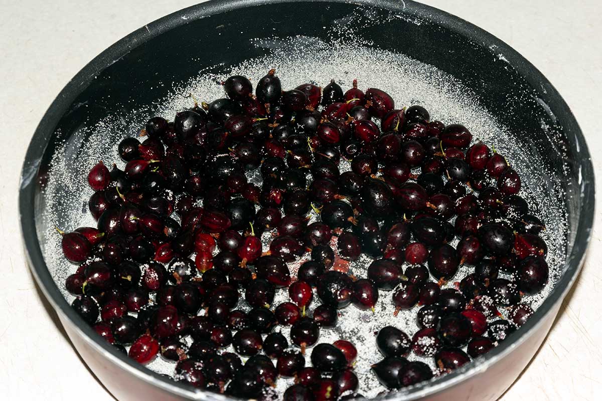 Подготавливаем крыжовник