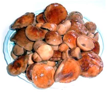 Грибы "оригинальные"