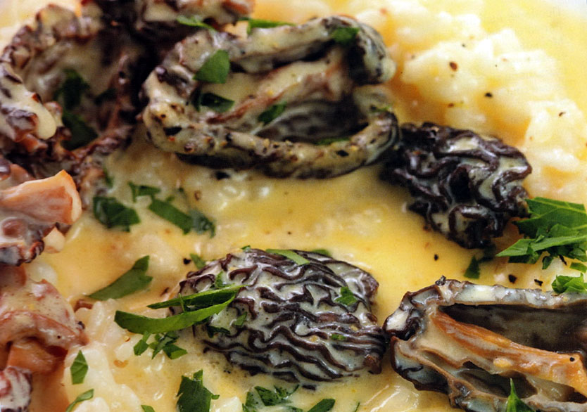 "Ризо аль Сальто" со сморчками