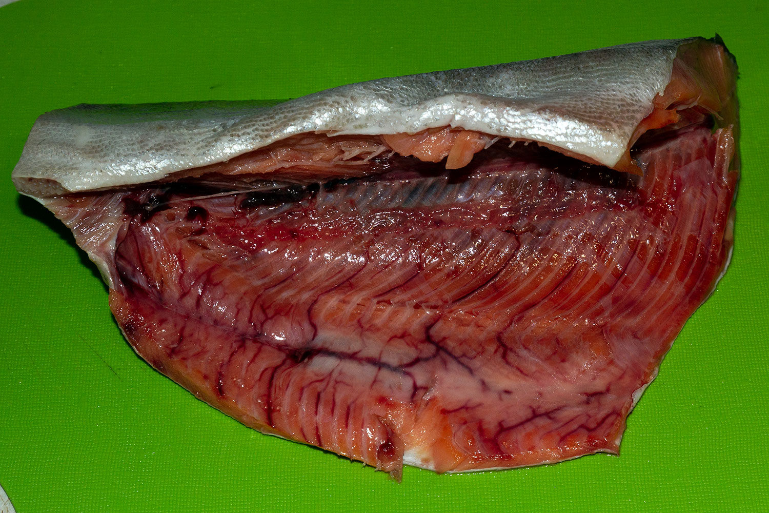 Горбуша для пельменей